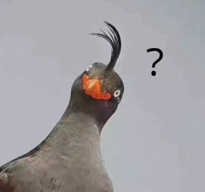 那些所谓的减肥产品真的都有用么,各种减肥产品真的很丢人吗