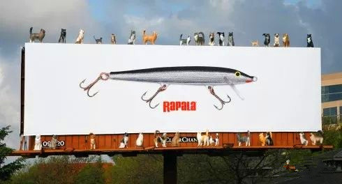 无台词创意广告,那些让人感动的创意广告