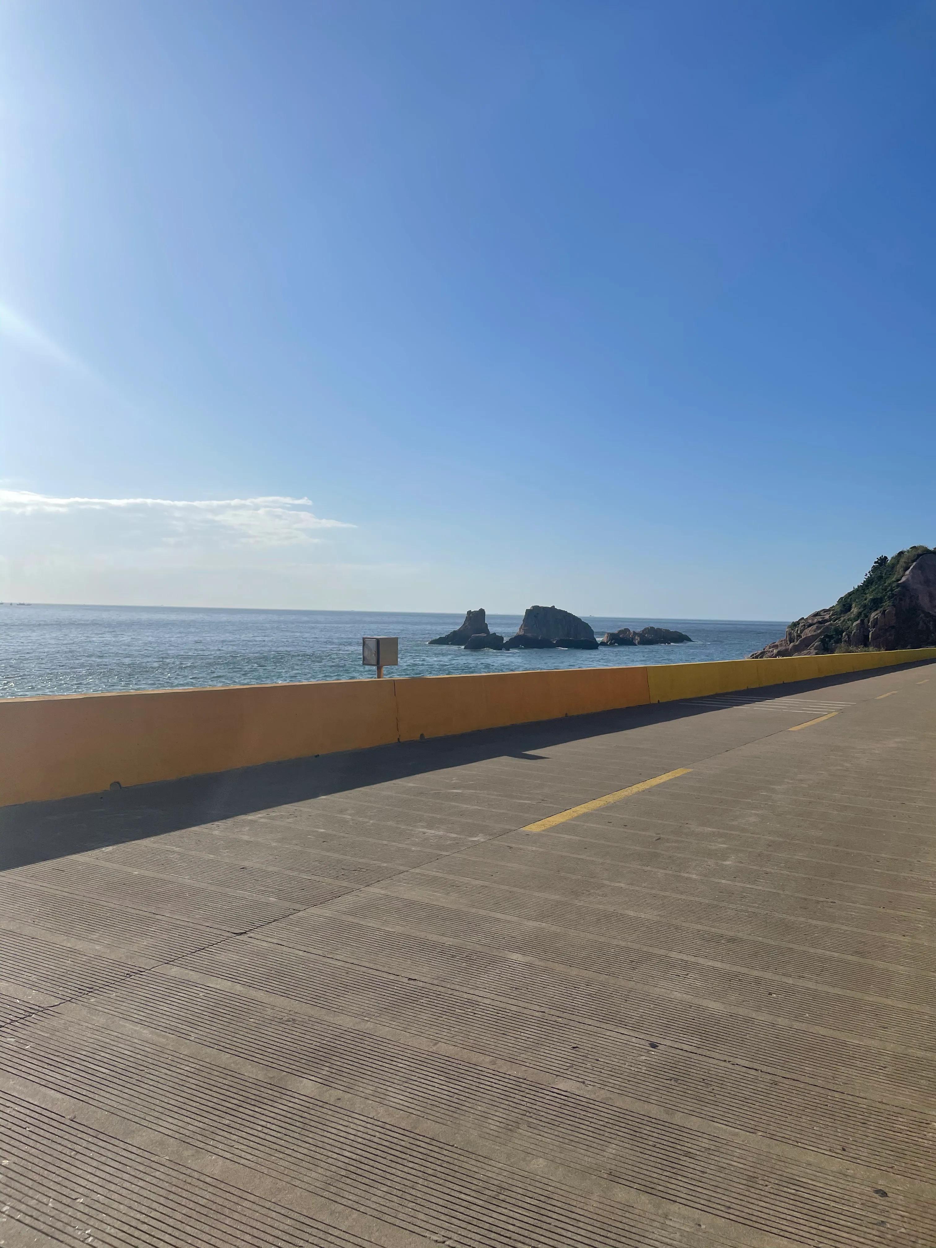 美丽枸杞,美丽的枸杞