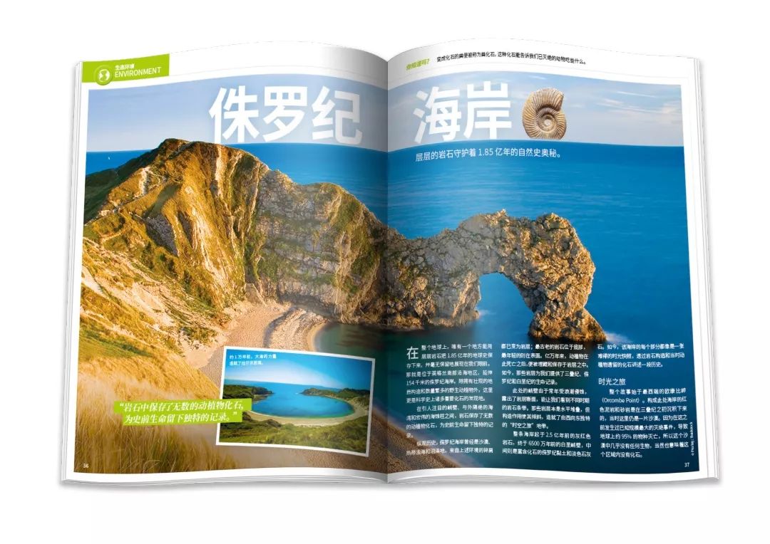 杨振宁为何反对建造粒子对撞机,杨振宁为什么不建议建对撞机