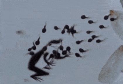 几十年前的中国动画有多牛？让日本人膜拜，还催生了日本动漫之神