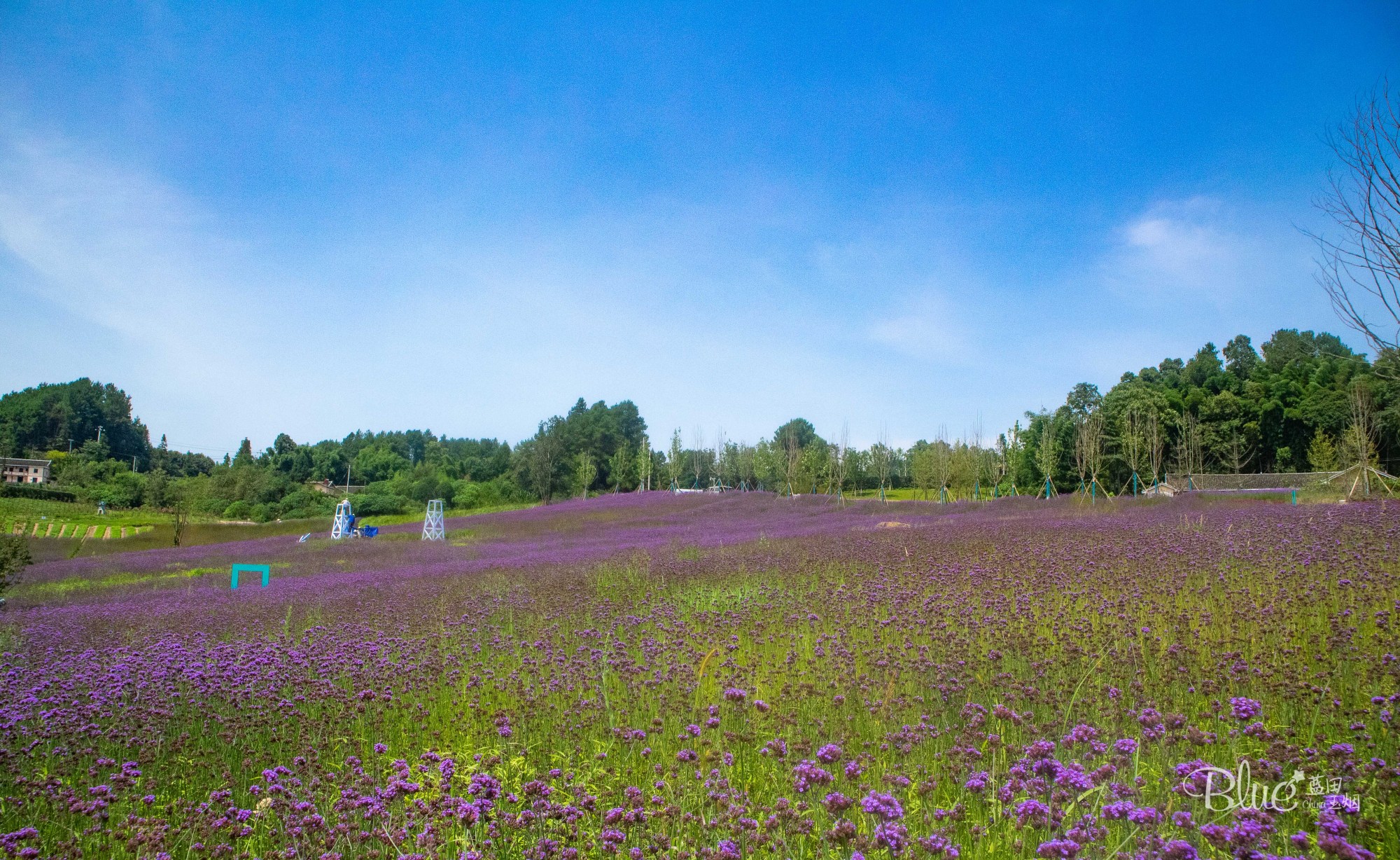 綦江横山花仙谷全景,重庆綦江看花景点推荐