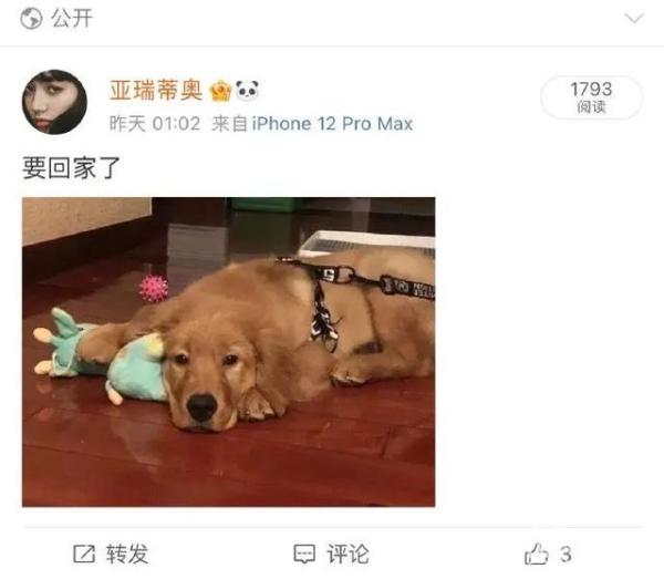 宠物托运死亡犯什么刑事责任,宠物托运死亡谁负责赔偿