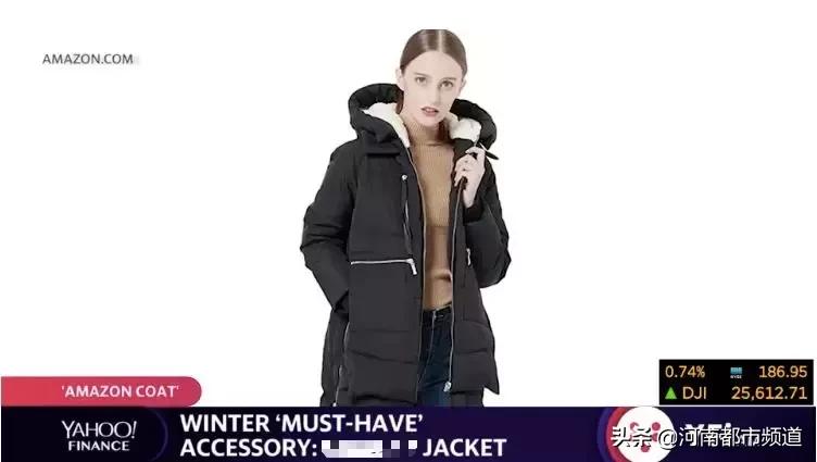 比大鹅还火的羽绒服是什么牌子,在国外卖得很火的国产羽绒服