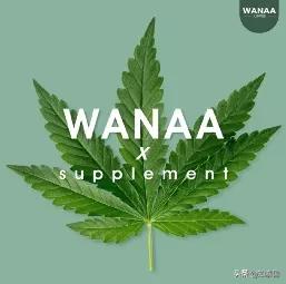 泰国*麻大**合法后，从方便面到牙膏，谁能成为顶流