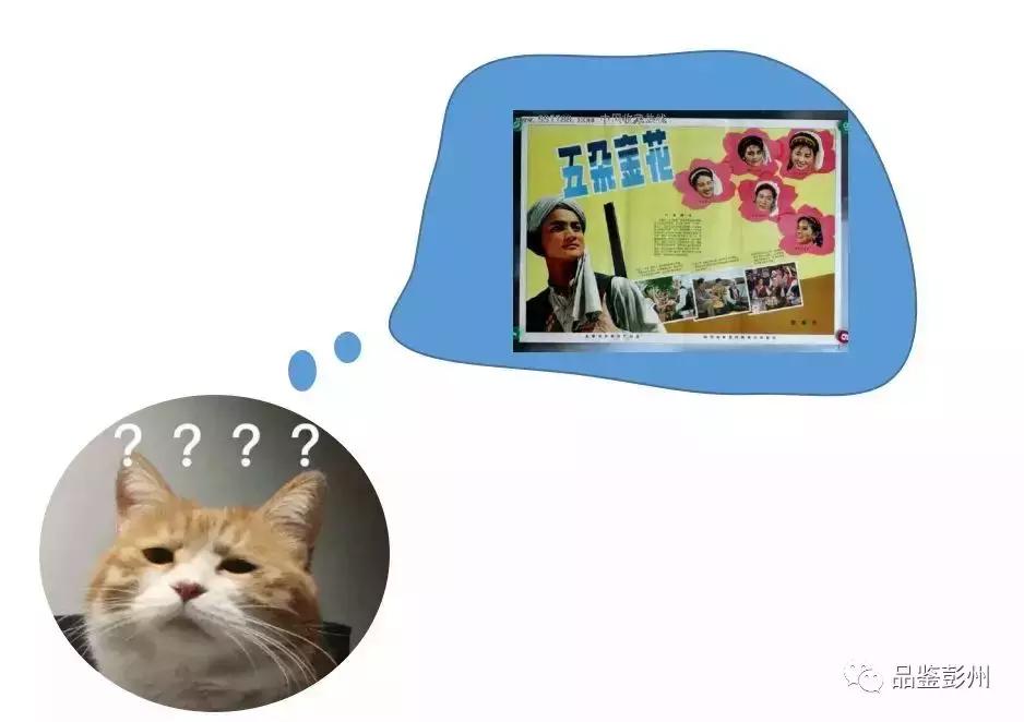 五朵金花组团出战,五朵金花齐聚的时候