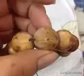 文玩长毛怎么补救,文玩里长毛是什么