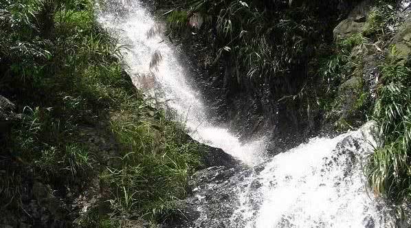 广东省内森林旅游景点,广东森林公园排行榜