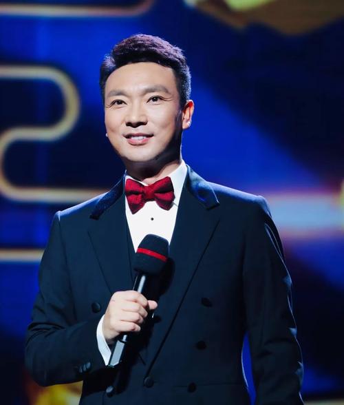 康辉的个人履历,康辉个人资料及故事