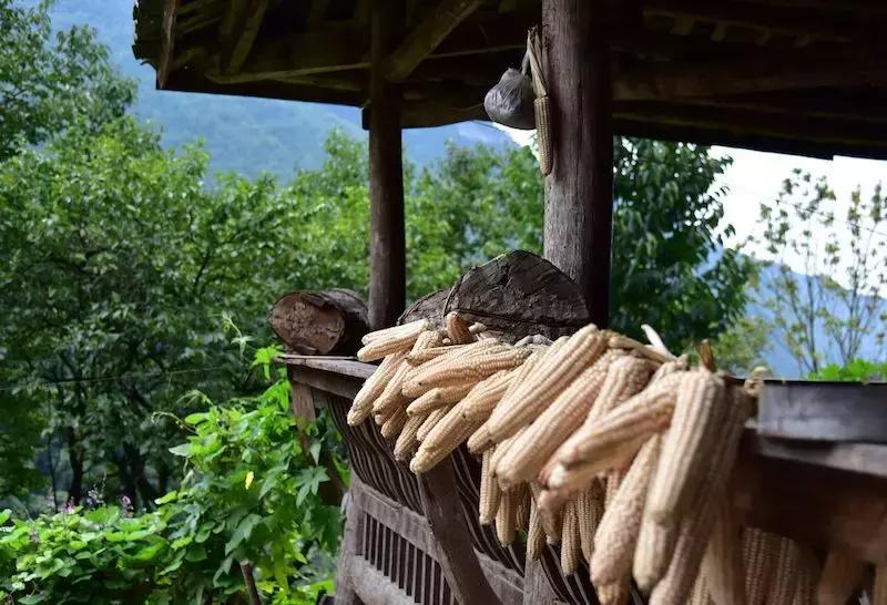 如果有一天累了就回老家到处走走,如果有一天累了就回来吧