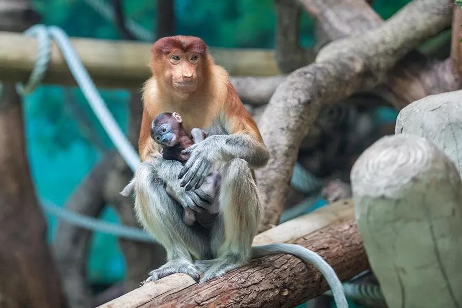 多少天能玩遍广东5a景区,广东5a旅游景点大全推荐图