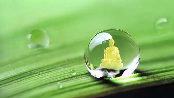 买富氢水杯上当的经历,购买富氢水