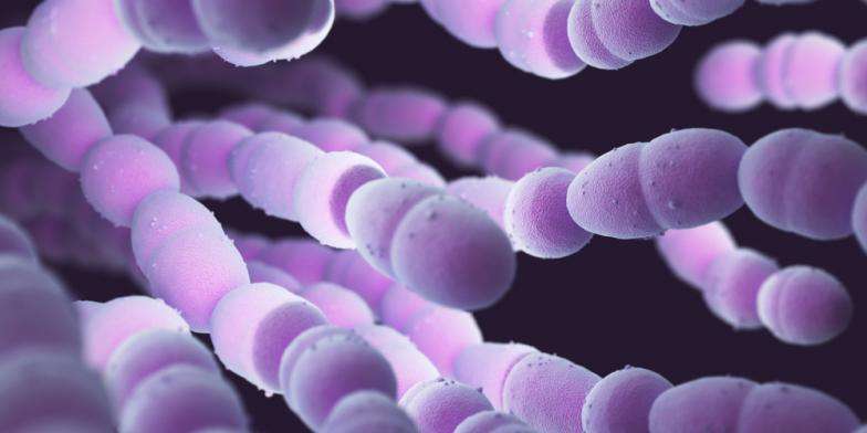 孕期做什么检查才能排除基因问题,孕期要做什么检查能确诊胎停