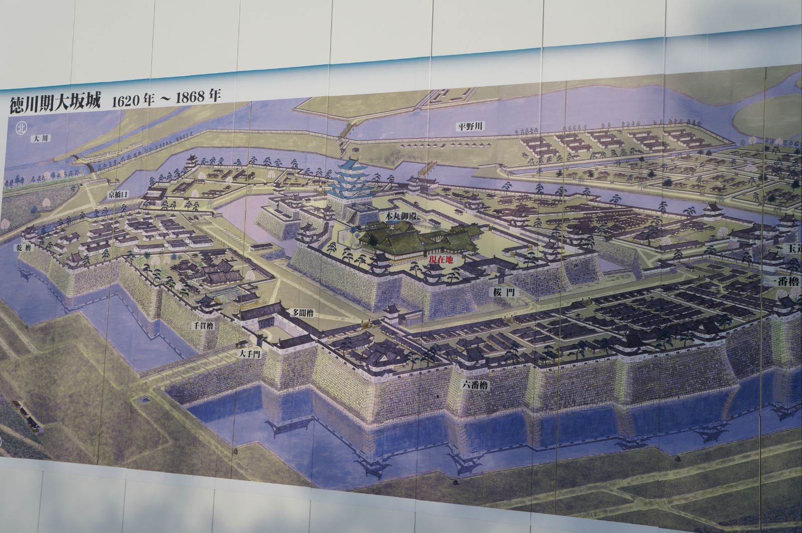 aj34八村塁樱花实战测评,aj35八村塁版本测评