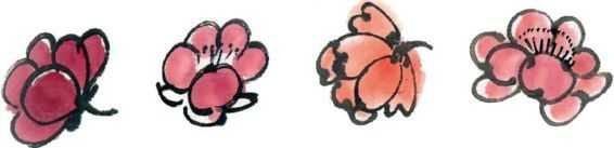 国画梅花上的雪画法步骤教程视频,零基础国画入门画梅花教程