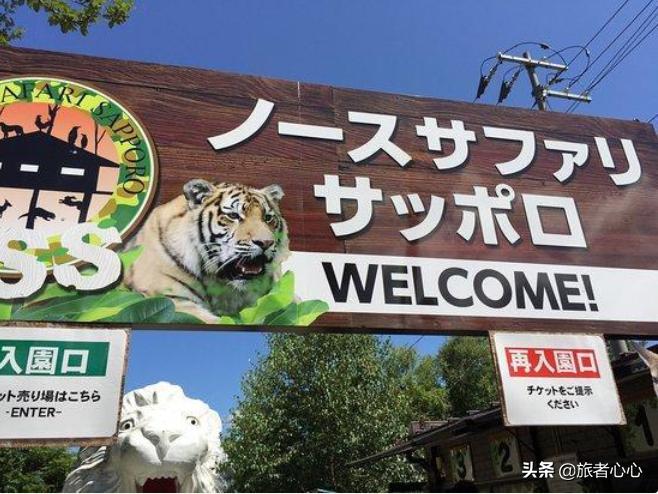 日本最危险的动物园进去视频,日本生死状动物园