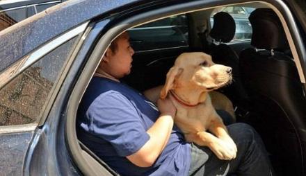 想带狗狗去游乐,带狗狗去旅游需要准备什么