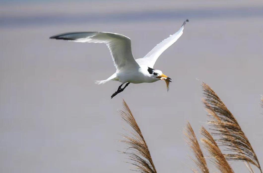 郑州大学和河南理工大学相比，哪个理工科实力比较强？