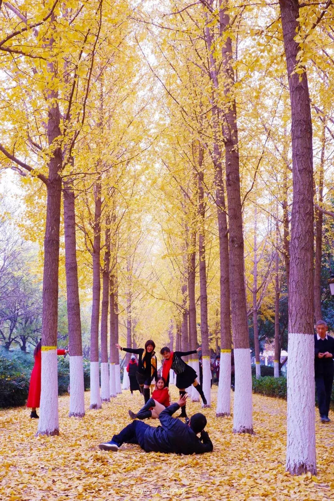 郑州向全球招才引智,郑州欢迎你2018