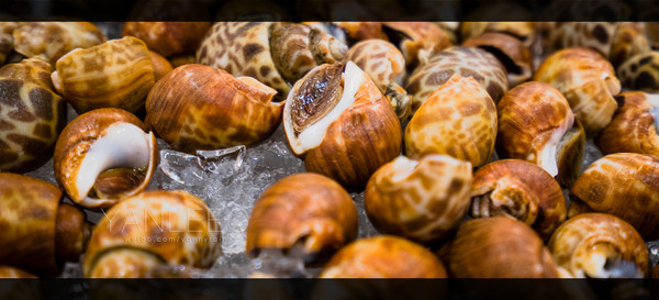 深度玩转泰国攻略,泰国游国际漫游