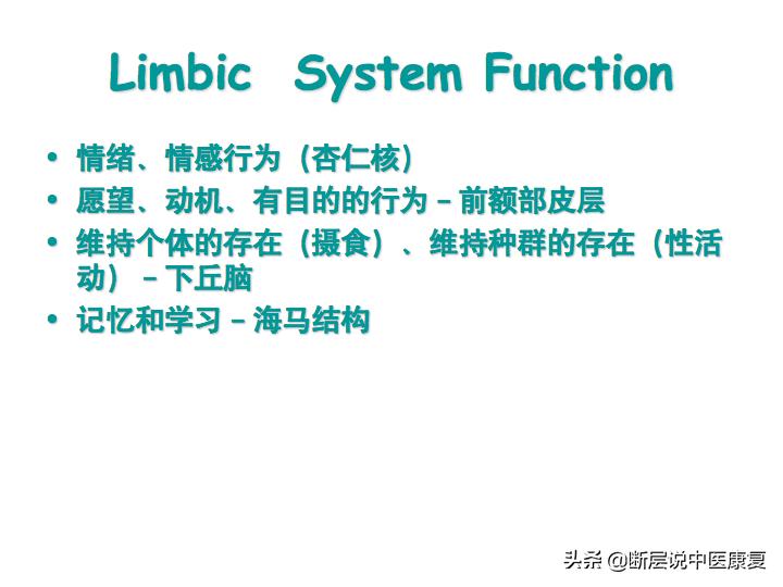 中枢神经系统断层解剖讲解,中枢神经3d解剖动画