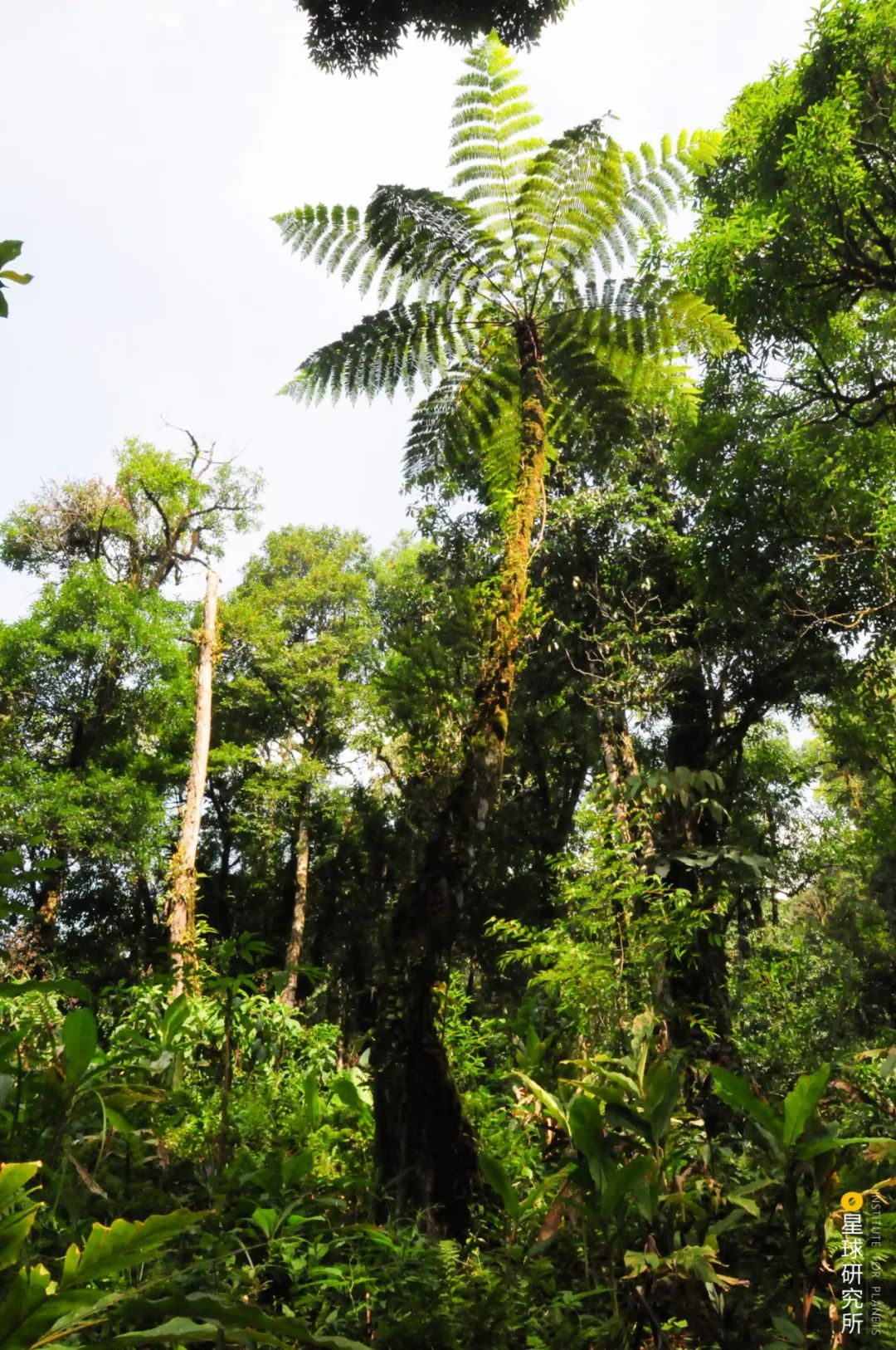 云南红河有什么特色,云南红河乡的风景