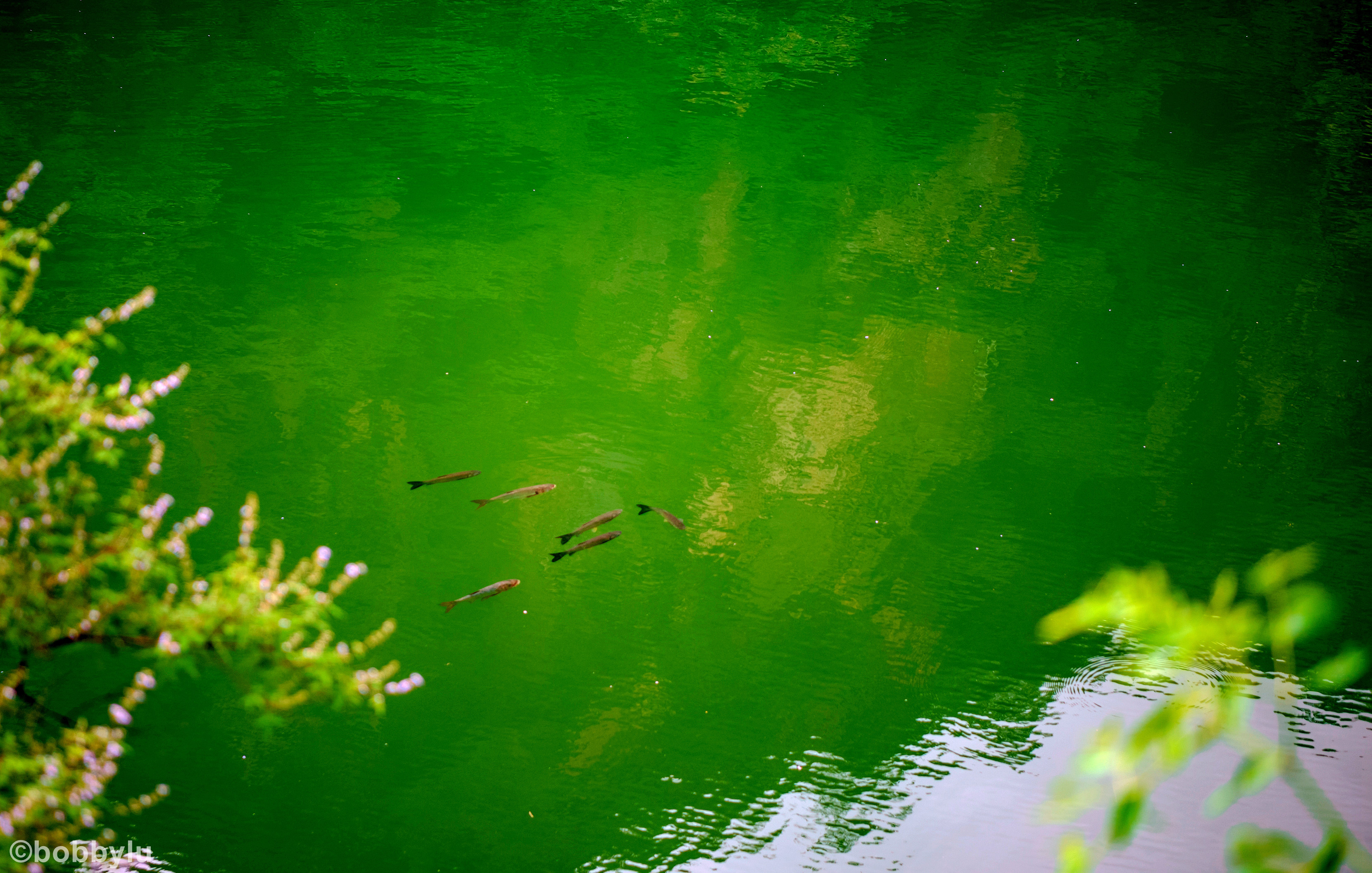 隐藏在深山里的网红景点,隐藏深山古村堪称世外桃源