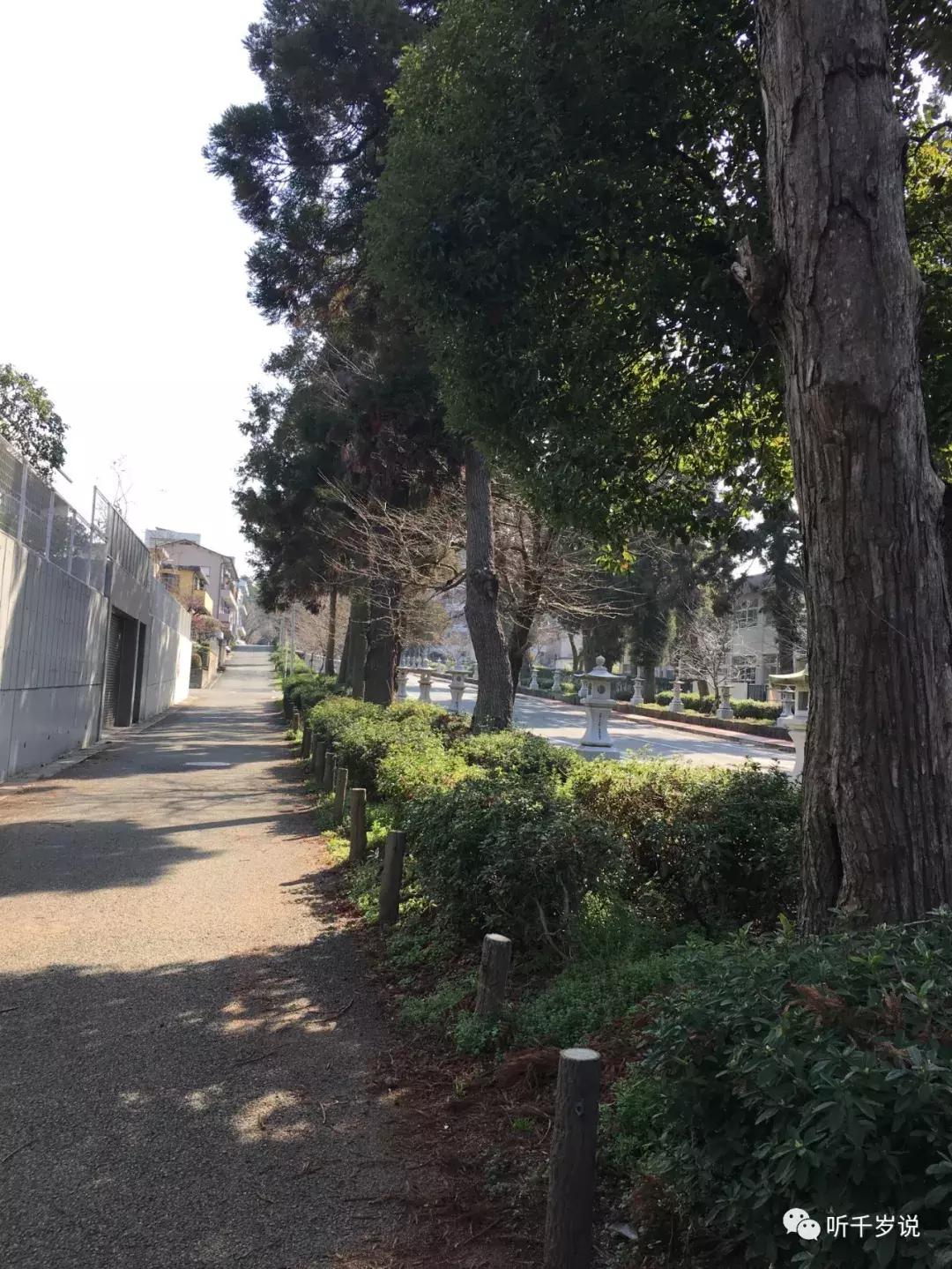 日本熊本县,日本熊本