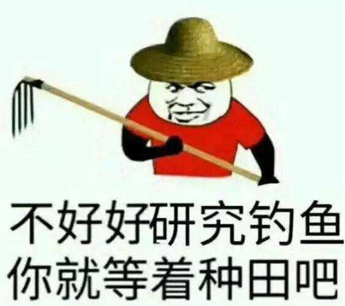 野战蓝鲫怎么样,野战蓝鲫如何开出最好的状态