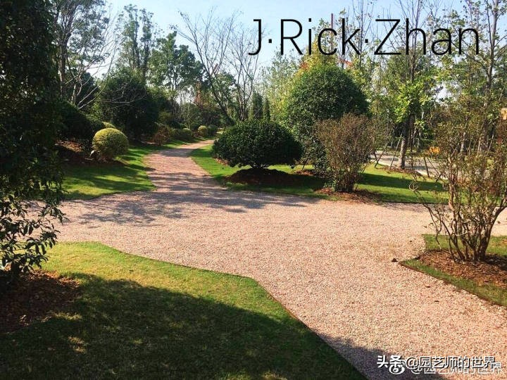 怎么种植草坪不长杂草,如何养好草坪