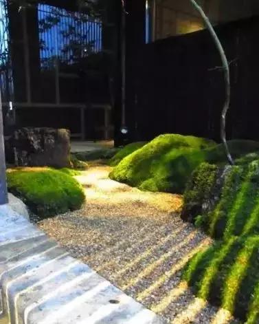 禅意庭院一定要用苔藓吗,禅意苔藓微景观制作视频