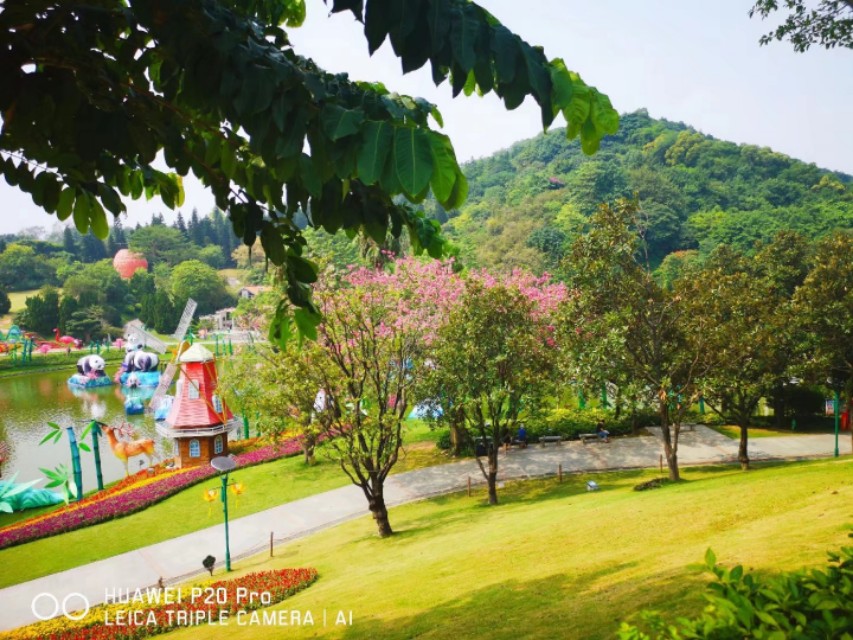 广州云台花园花展,广州云台花园咋样