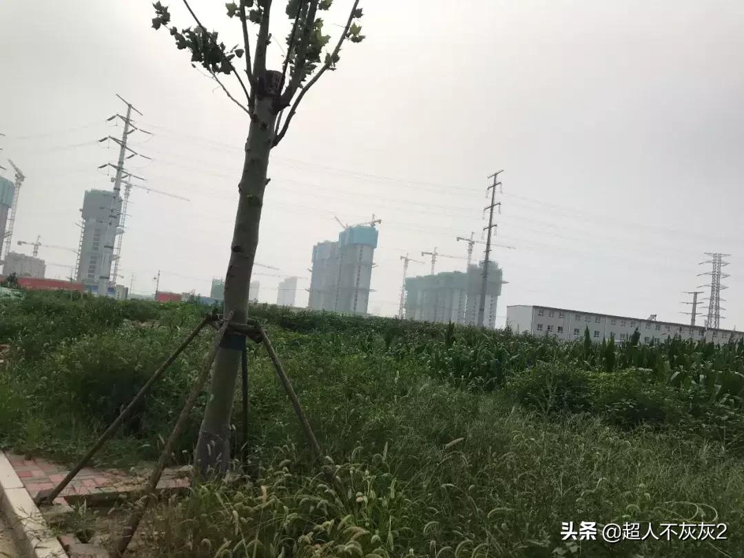 石家庄开发区历史与现状:三十年后,还是弟弟?