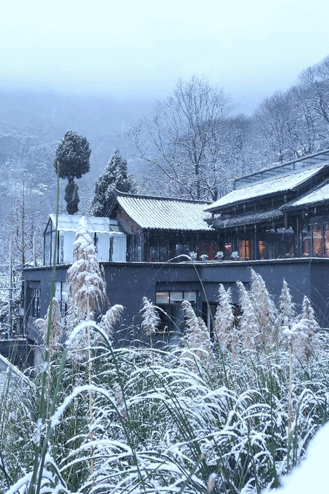 成都出发1.5h，藏在青城后山网红轻奢度假民宿，丨桐去隐泉