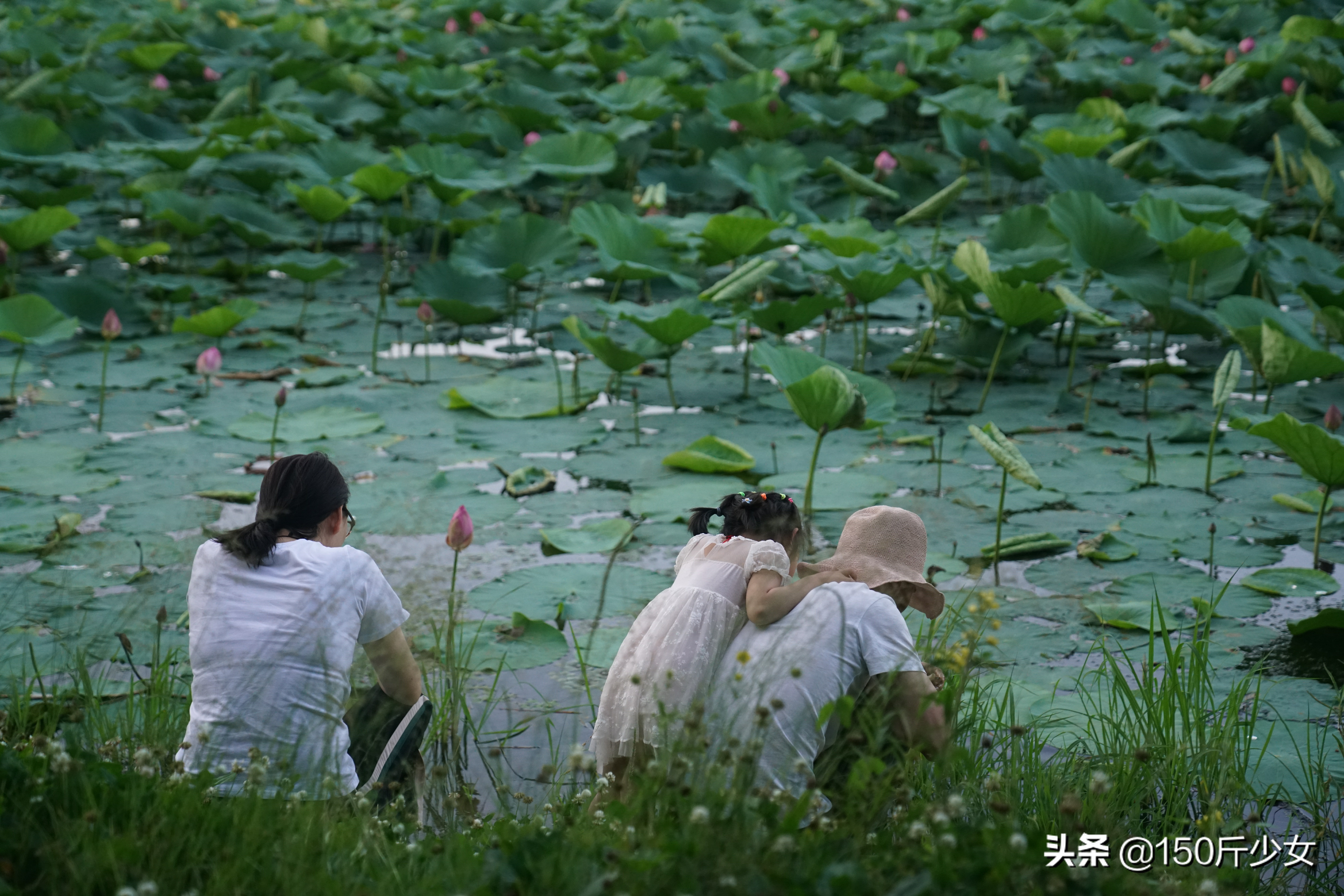 随心所欲玩转吉林！6天5晚人均1000自驾游，吉林现在也很美