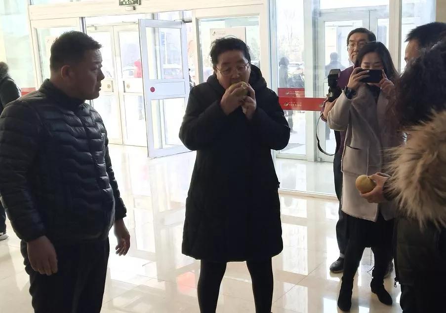 40万斤梨滞销果农急盼援手,河北赵县60万斤滞销梨急寻销路