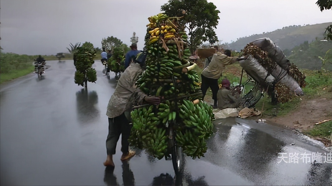 非洲布隆迪，最不发达国家之一，一辆“二八大杠”能养活一家人