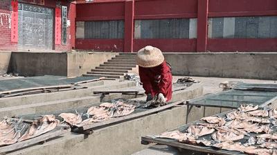 遇见美丽水乡,鄱阳鄱阳湖