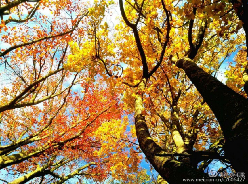 一树山,我的精神家园