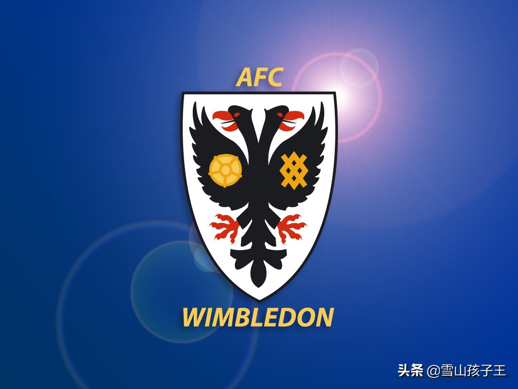 英格兰足球队的魅力,英格兰甲级联赛足球氛围