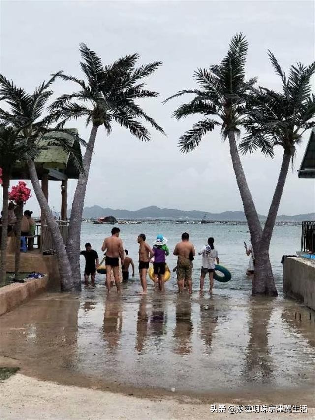 大连哈仙岛民宿三餐,大连哈仙岛民宿客栈