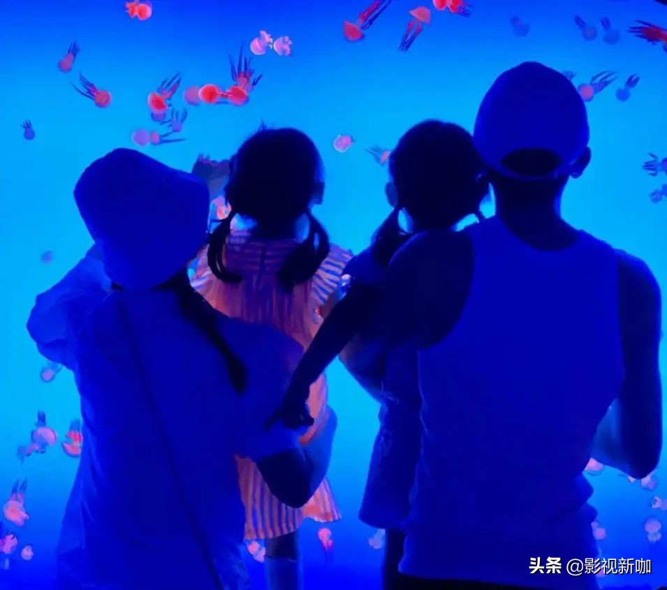 谢娜张杰抱女儿晒太阳,谢娜晒双胞胎女儿