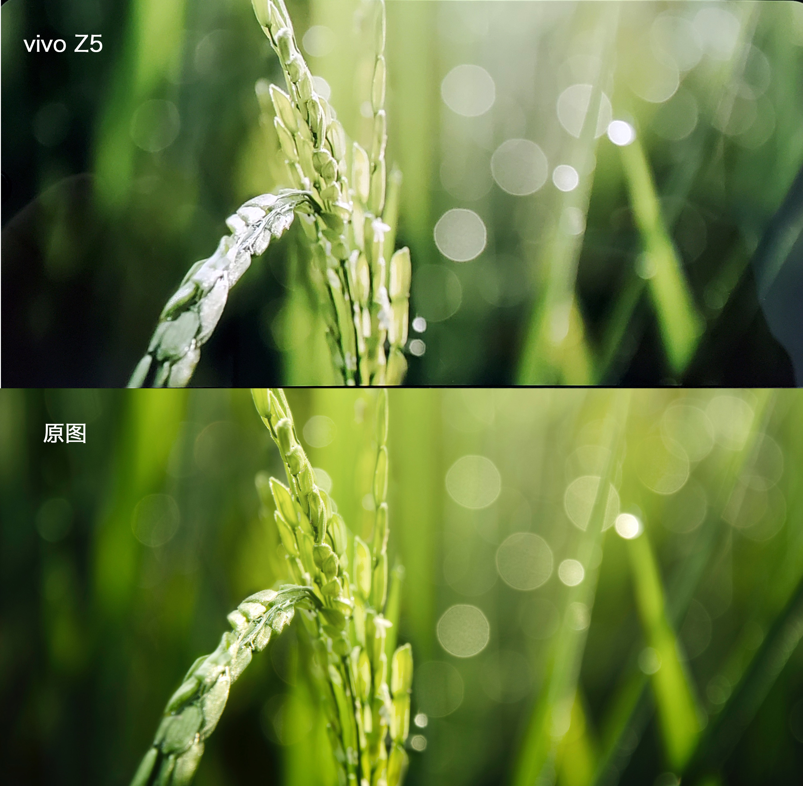 vivoz5价格为什么便宜,vivoz5值得入手吗