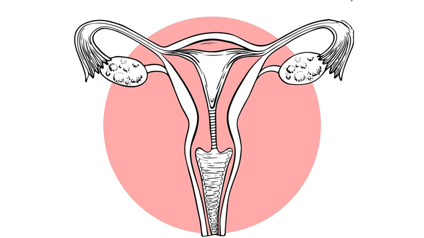 胸部扁、皮肤干，小心卵巢早衰！2穴位防早衰