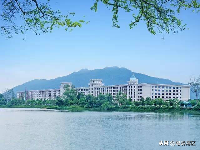 肇庆某五星级酒店欠款6亿,肇庆酒店事件