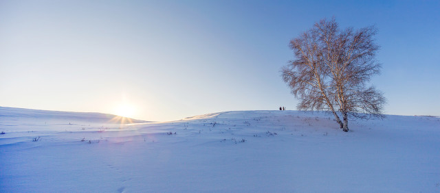 中年女性婚外情引发的血案,婚外情引发的一桩惨案
