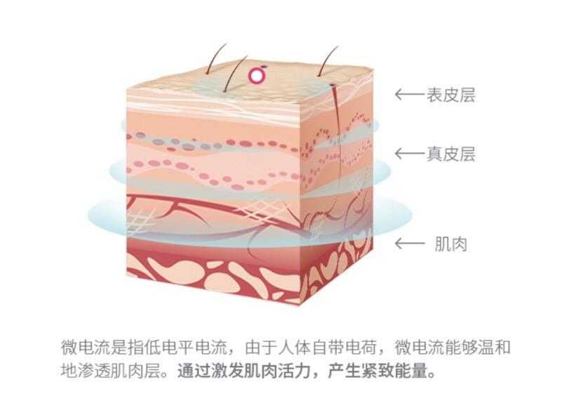 20款美容仪总结,现在比较流行的美容仪有哪款