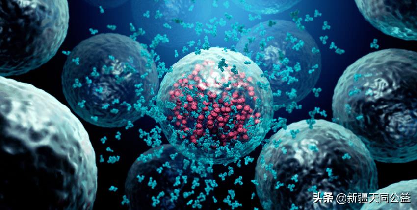 艾滋病研究新突破精英控制者,艾滋病的精英控制者