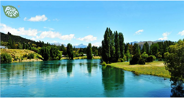 进口蜂蜜哪个国家的好,英国waitrose进口蜂蜜怎么样