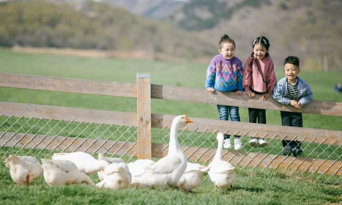 2023年三寰牧场最新攻略,三寰牧场攻略最新